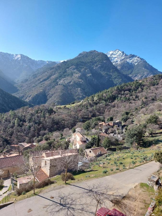 Residence E Cime Asco Locations De Studios Meubles 外观 照片