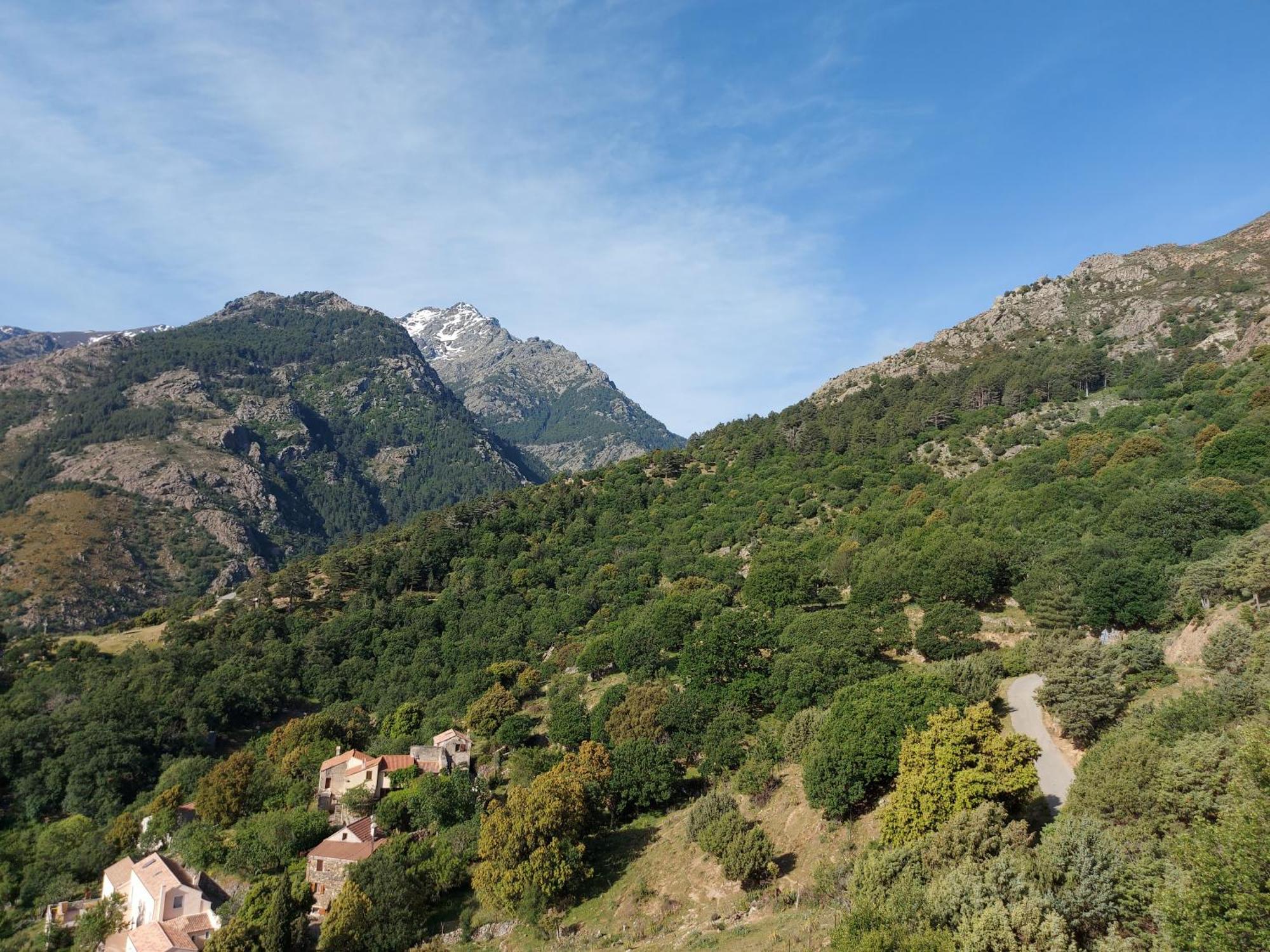 Residence E Cime Asco Locations De Studios Meubles 外观 照片
