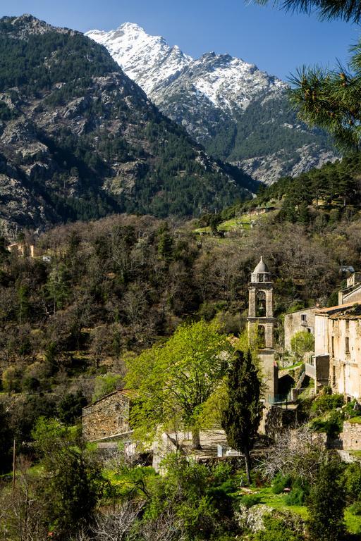 Residence E Cime Asco Locations De Studios Meubles 外观 照片